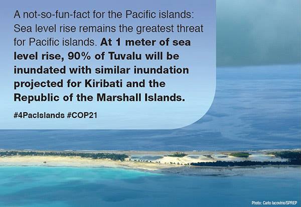 12274411 1066459963399305 7371735593597108469 n