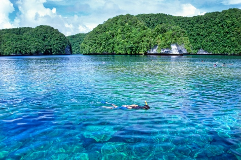 Marine Protected Area Chelbacheb Palau Stuart Chape copy copy