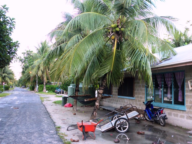 Tuvalu3-courtesyofAnamaSolofa