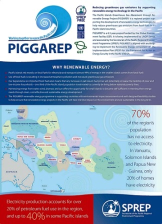 piggarep_flyer