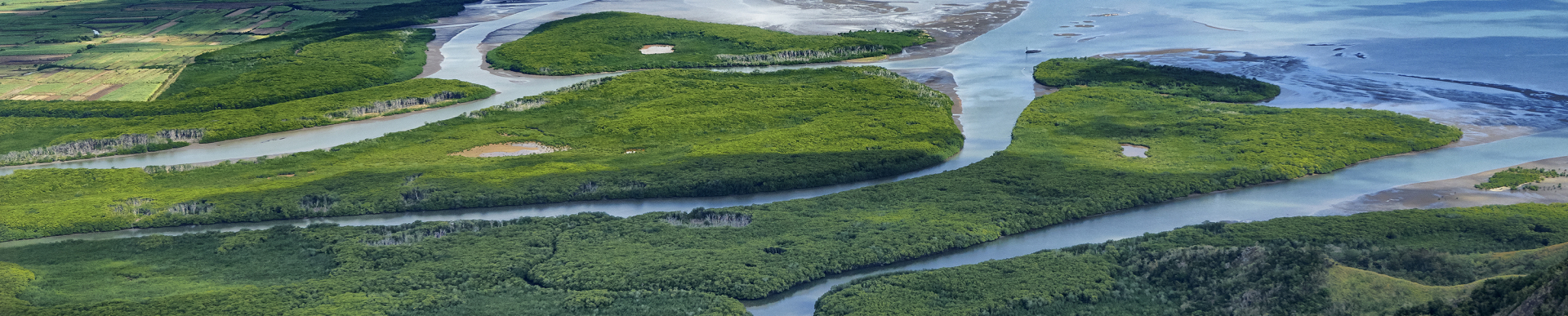 About The Pacific NbS  Resource Hub