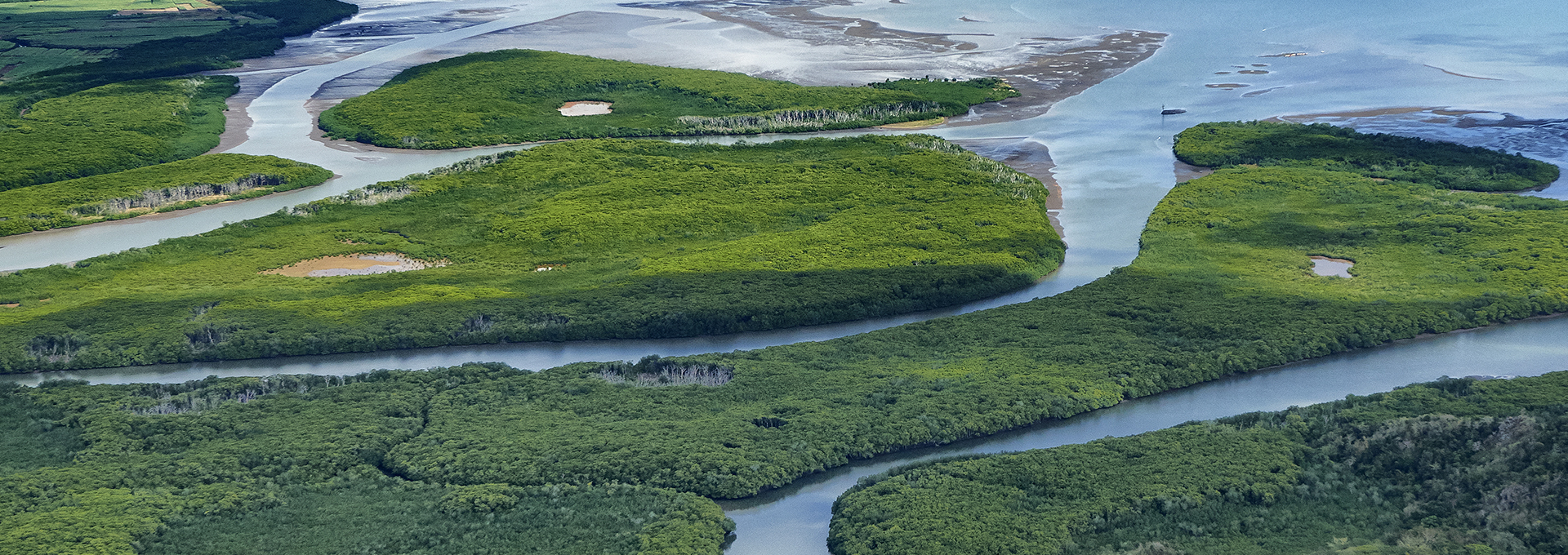 About The Pacific NbS  Resource Hub