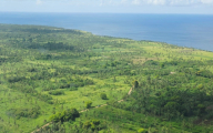 Tonga centres Nature-based Solutions in its Agriculture-Forestry Sectors.