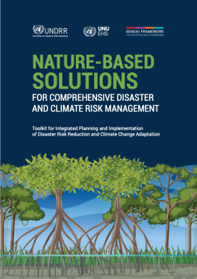 Nature-based solutions for comprehensive disaster and climate risk management