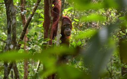 Youth Leaders Tackle Plastic Pollution