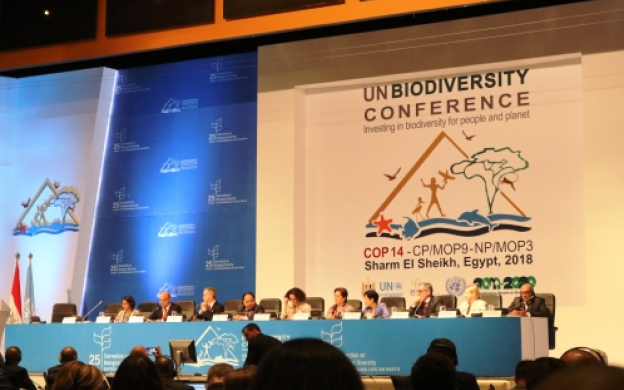 CBD COP14