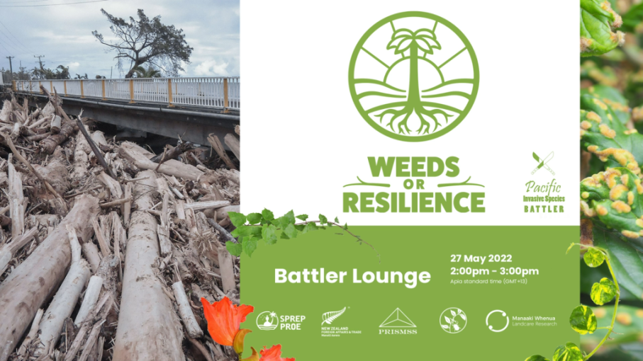 Pacific Battler Lounge | Weeds or Resilience: Restoring nature's services (full webinar)