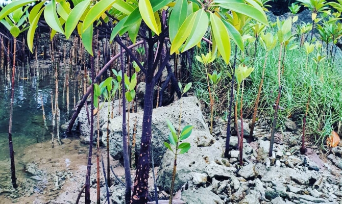 Photo:  Federated States of Micronesia by D.McFadzien
