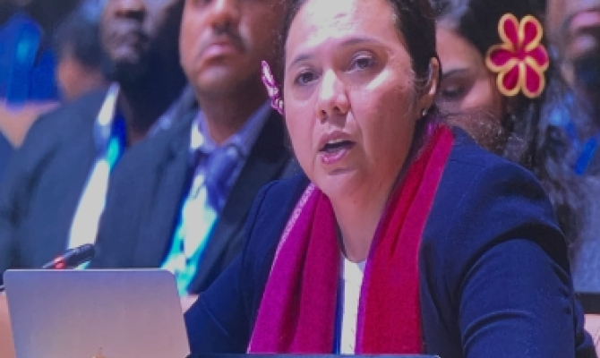 Marshall Islands at COP29 
