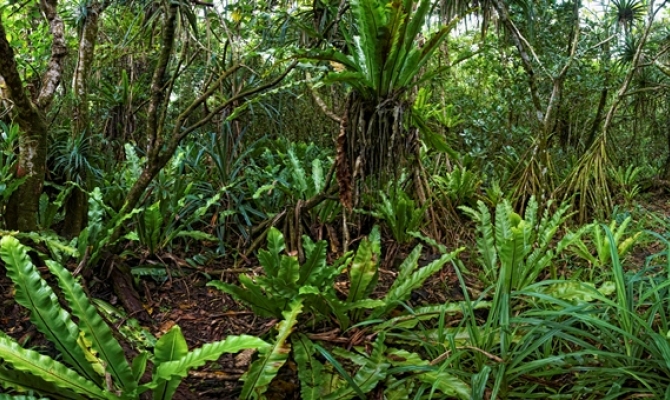 Copyright Stuart Chape