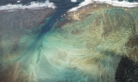 Coral Reef, Samoa_Stuart Chape