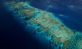 Fiji.  Photo - Stuart Chape