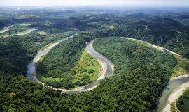Solomon Islands Upper Lunnga River. Copyright Stuart Chape