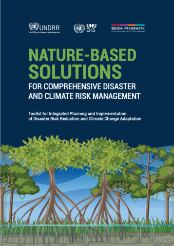 Nature-based solutions for comprehensive disaster and climate risk management